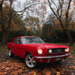 car auction